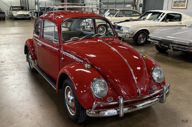1965 Volkswagen Beetle 