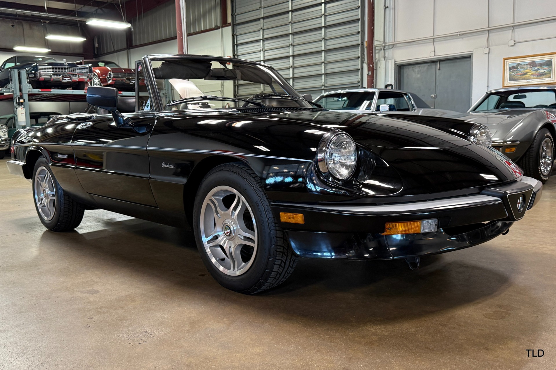1986 Alfa Romeo Spider Graduate